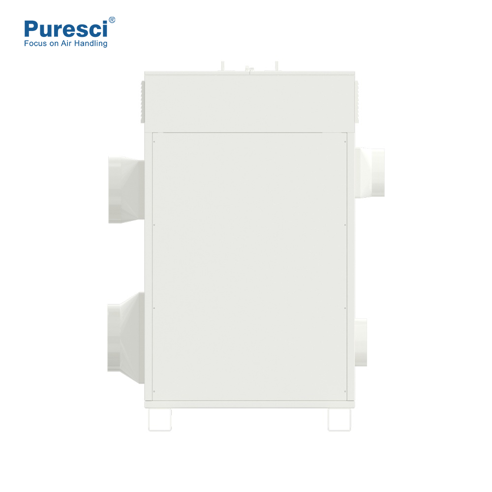 PURESCI DIRHUMIDIFIER Самопроизводство Силовая память промышленная комната