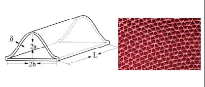 微 信 图片 _20210902155956