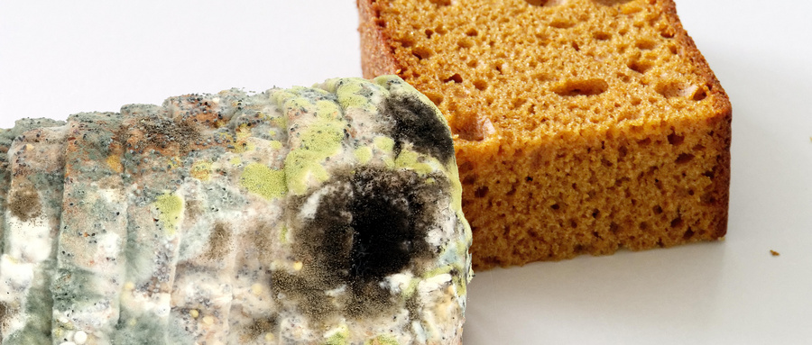 摄图网 _500385728_wx_ 请 勿 浪费 （企业 商用）